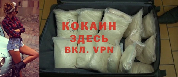 прущая мука Вяземский