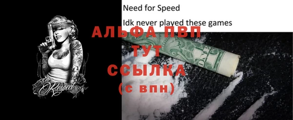 прущая мука Вяземский
