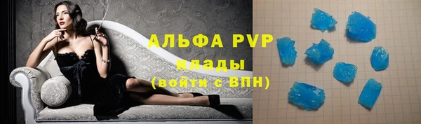 прущая мука Вяземский