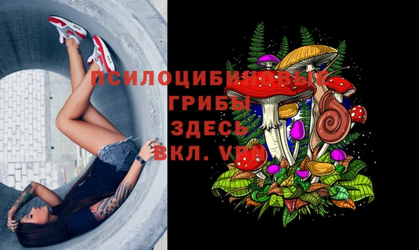 прущая мука Вяземский