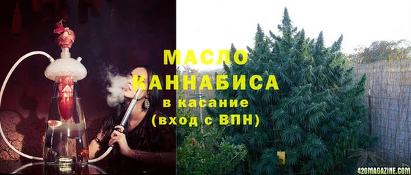 прущая мука Вяземский