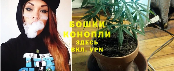 прущая мука Вяземский