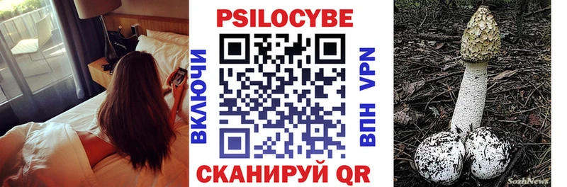 что такое   KRAKEN вход  Псилоцибиновые грибы GOLDEN TEACHER  Мценск 